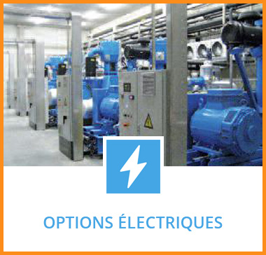 Options électriques